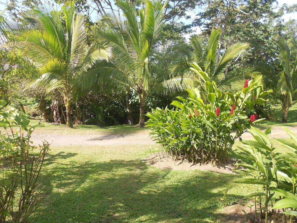 Comfort Arenal La Fortuna Luaran gambar