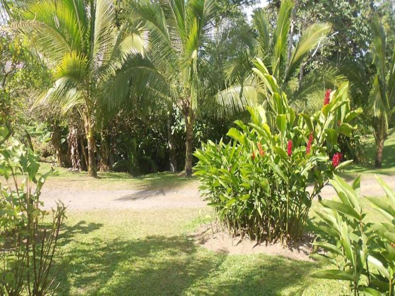 Comfort Arenal La Fortuna Luaran gambar