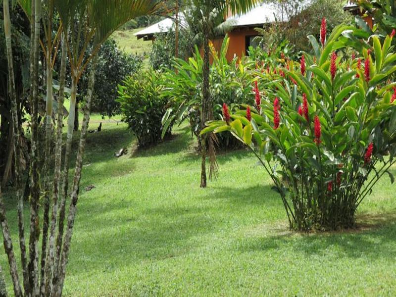 Comfort Arenal La Fortuna Luaran gambar