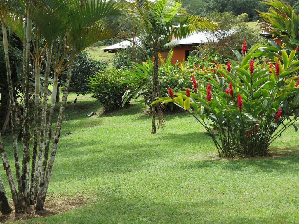 Comfort Arenal La Fortuna Luaran gambar